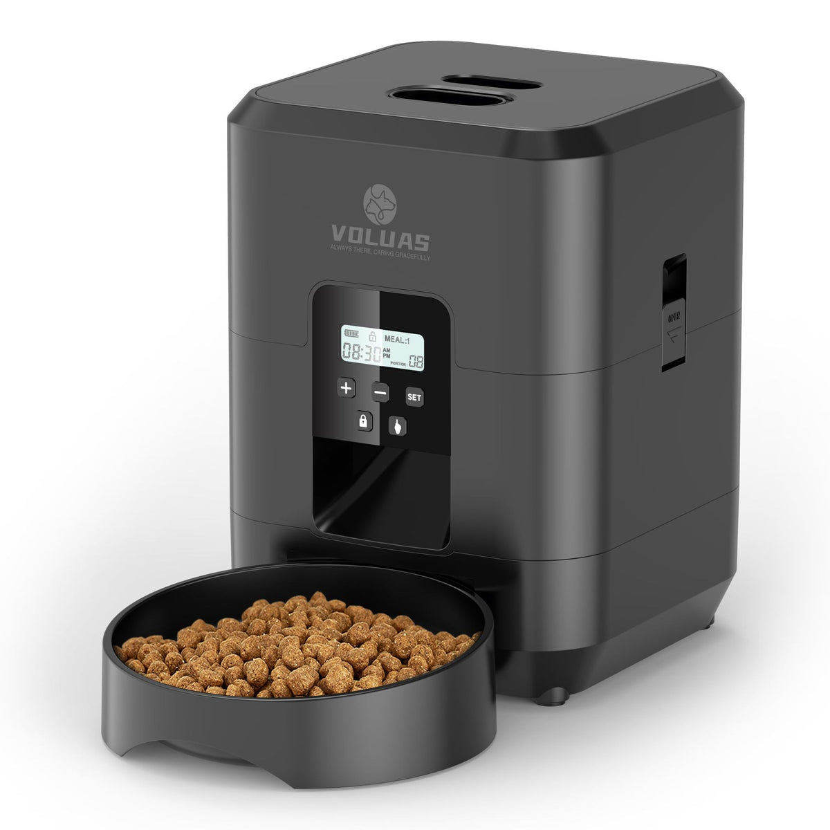 Comedero Automático Programable para Perros y Gatos